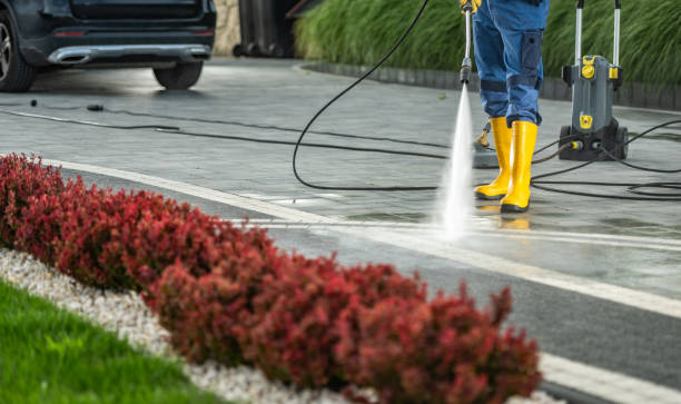 Best Sidewalk and Walkway Cleaning  in La Follette, TN
